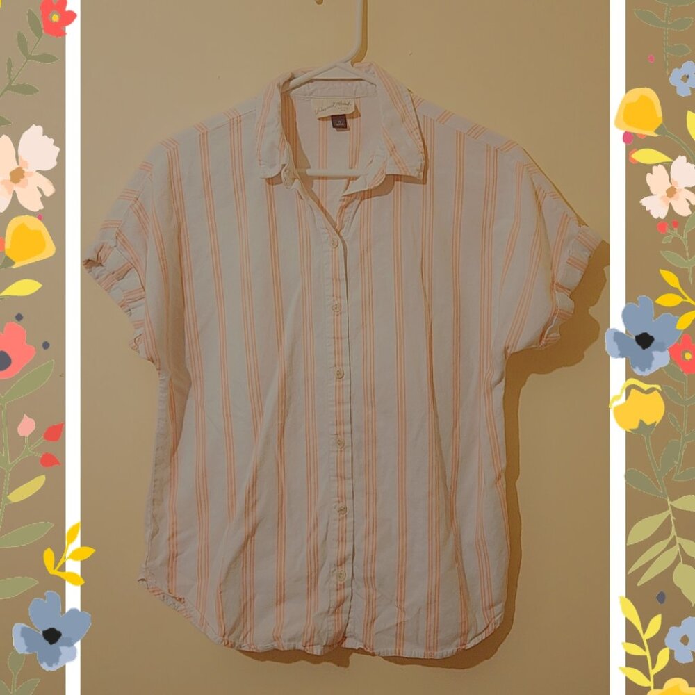 Short Sleeve Striped Collared Button-Down Shirt
